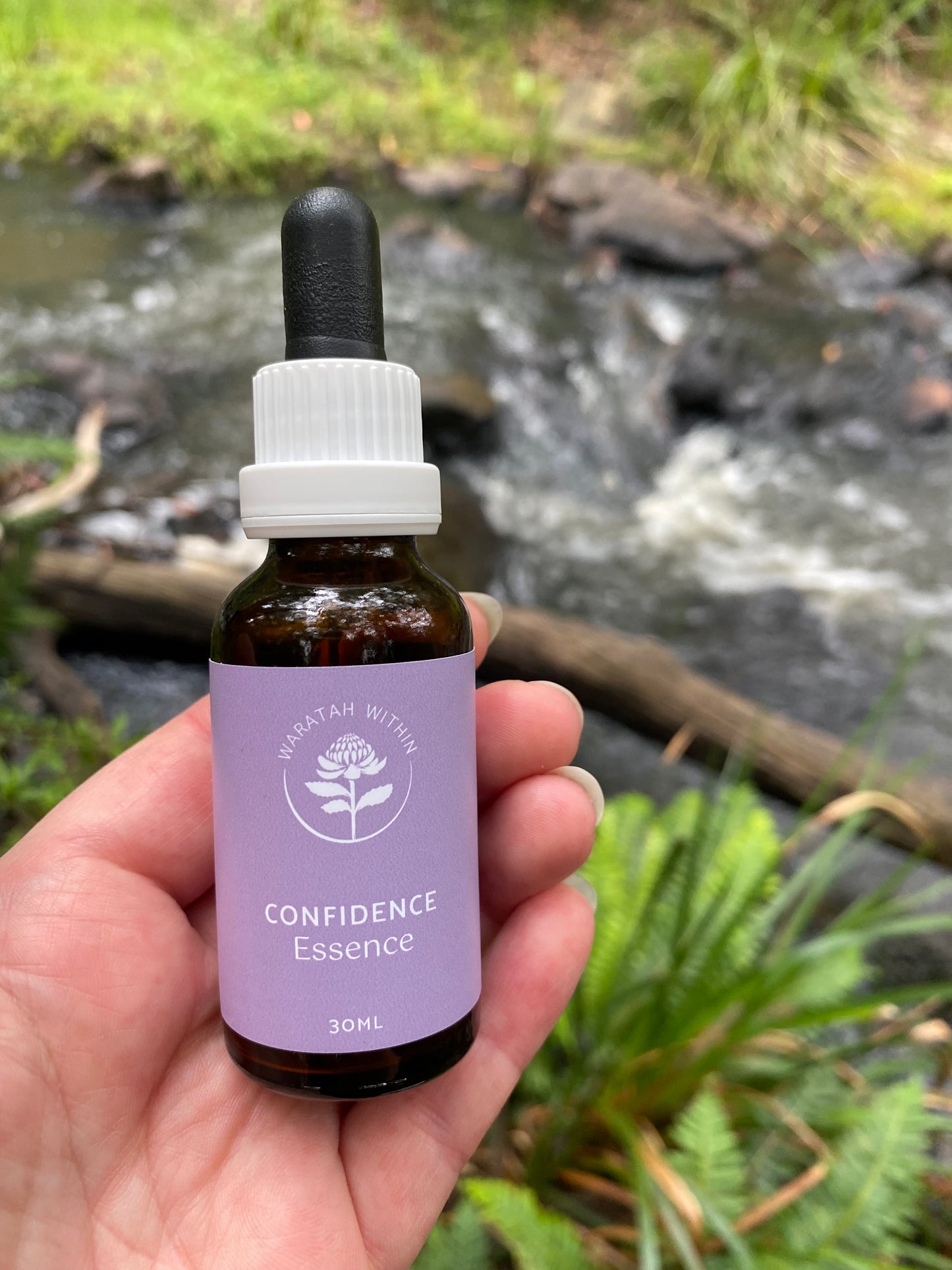 Confidence Essence 30ml Assists with helping one to become more confident and courageous.